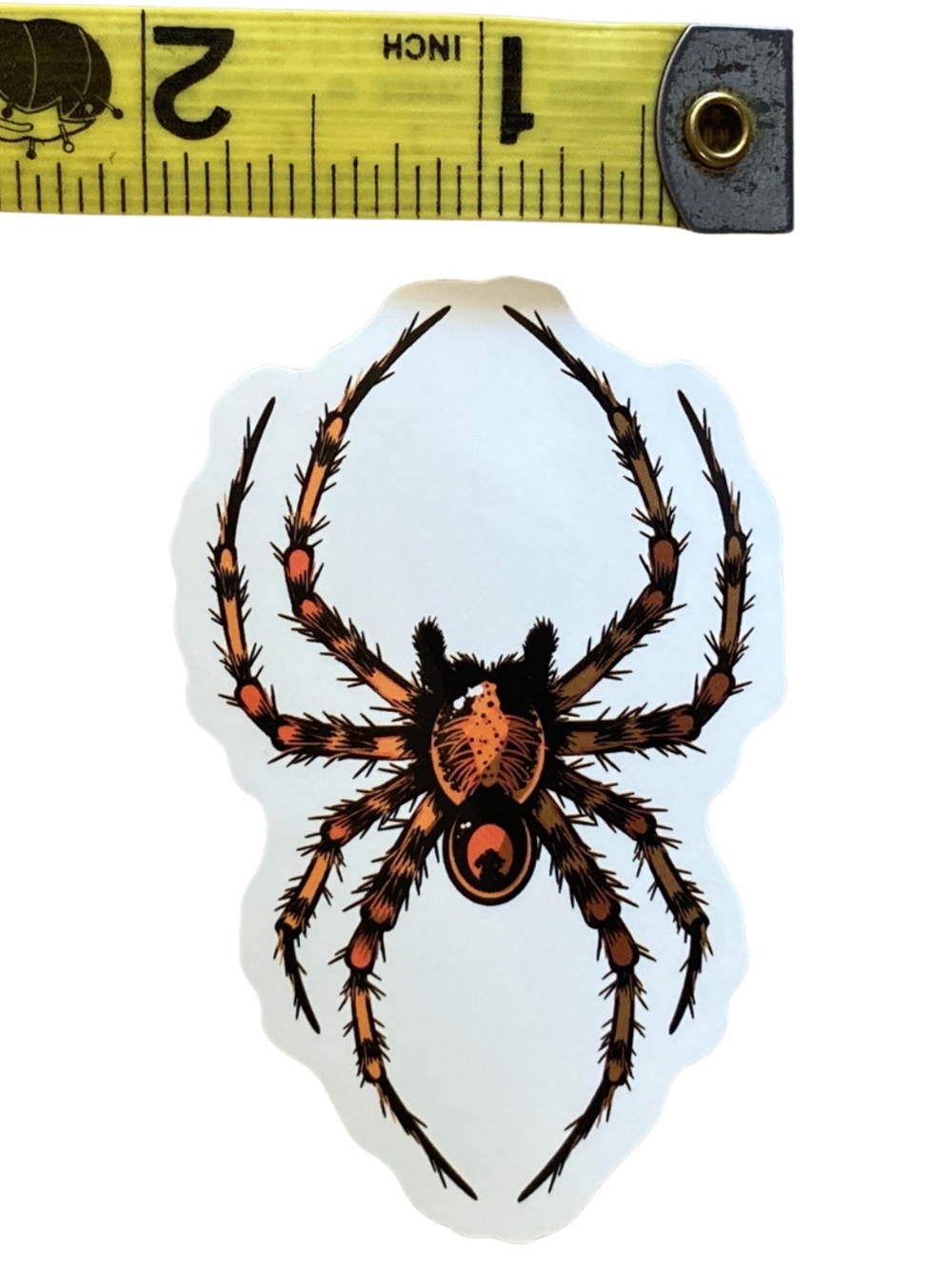 Brown Orb-weaver Diadem Spider Halloween Sticker